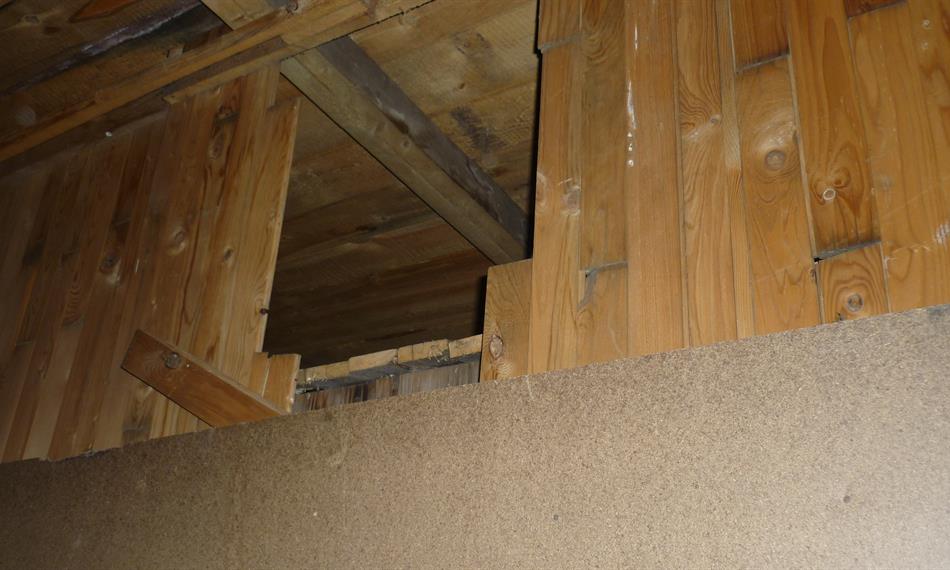 2013-1-17-1239Dubí_klid2 (10).JPG